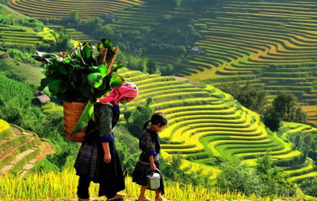 Khach San Sapa Ngay Nay Hotel Ngoại thất bức ảnh